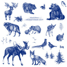 Vintage Sketch Forest Animals Design . Fairytale Forest. Hand Drawn Wild Nature Line Graphics. Indigo Color. 