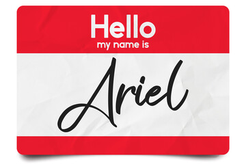 Wall Mural - Hello my name is Ariel