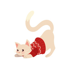  christmas, cute cat with sweater and ball animal celebration isolated design
