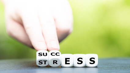 Wall Mural - Success instead of stress. Hand turns dice and changes the word stress to success.