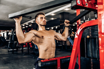 young muscular man, shirtless, working out in the gym, doing chest and arm exercises