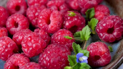 Wall Mural - raspberries fruits and leaves