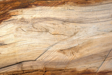 texture of wood