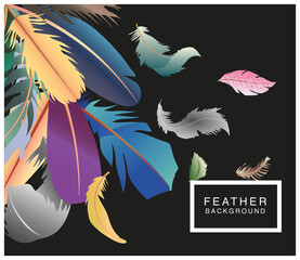 Wall Mural - black background with colored feathers decoration