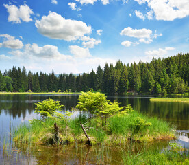 Poster - Kleiner Arbersee lake in the National park Bavarian forest,Germany.