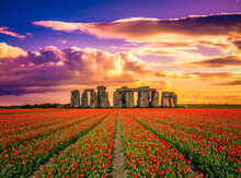 Stonehenge With Red Tulip Flowers Foreground At Sunset In England 