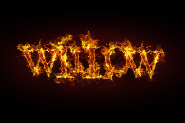 Wall Mural - Willow name made of fire and flames