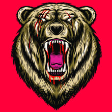 Grizzly Bear Vector