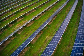 Wall Mural - Large solar power plant on a picturesque green field in Ukraine