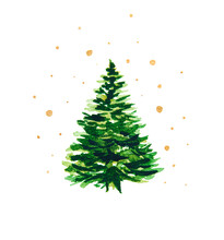 Green Christmas Tree On A White Background With Gold Stars. Watercolor Drawing