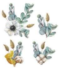 Watercolor Compositions Of White Anemone Flowers, Blue Eucalyptus, Fluffy Dried Flowers And Cotton.
