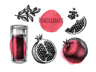 Canvas Print - pomegranate ink sketch collection.