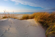 Wybrzeże Morza Bałtyckiego,wydmy, trawa, ,biały piasek.