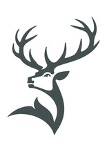 Cervo Logo
