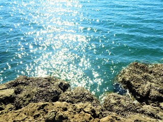 Wall Mural - Light reflected on the sea