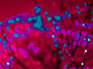 Colorful bokeh. Abstract holiday background. Blue and purple bokeh.