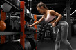 © nikolas_jkd - Fitness woman doing exercise for back in gym, dumbbell row. Athletic girl working out