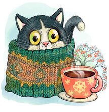 Cute Colorful Illustrations. The Cat Wrapped Himself In A Warm Scarf In Winter. Next To Him Is A Cup Of Coffee. Cozy Winter Concept.