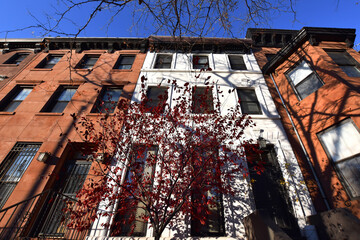 Canvas Print - Beautiful house facade in Brooklyn Neighbourhood, New York City, United States.