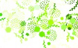 Fototapeta Panele - Light Green, Yellow vector elegant wallpaper with flowers