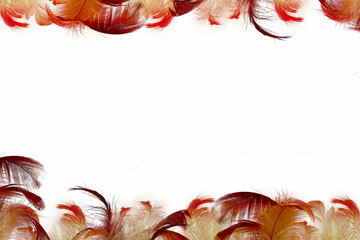 Sticker -  feather frame texture as background with text copy space