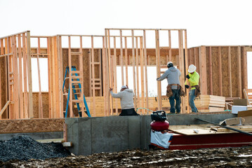 workers are installing the frame of a plywood house