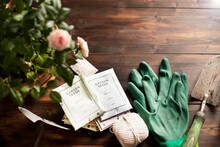 Spring Gardening Planning, Envelopes With Seeds, Gardening Gloves Against Wooden Table