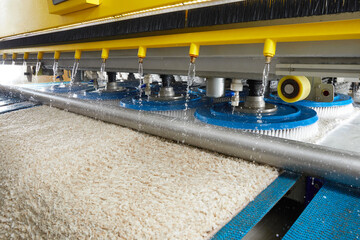 Automatic machine and equipment for carpet washing and dry cleaning