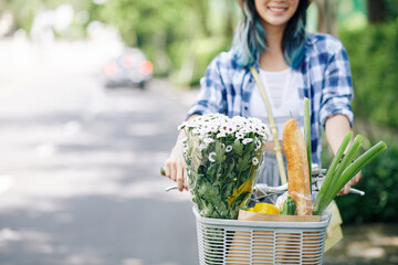 Cropped image of positive young woman sitting on bicycle with bouquet and groceries in front basket