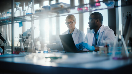 Wall Mural - bright medical science laboratory with diverse team of research scientists working. young female mic