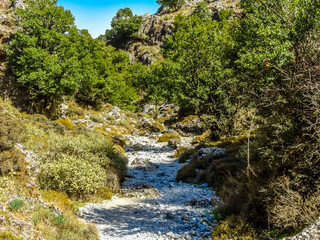 Wall Mural - The path leading down into the Imbros Gorge near Chania, Crete on a bright sunny day