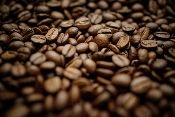 whole fresh roasted coffee beans background