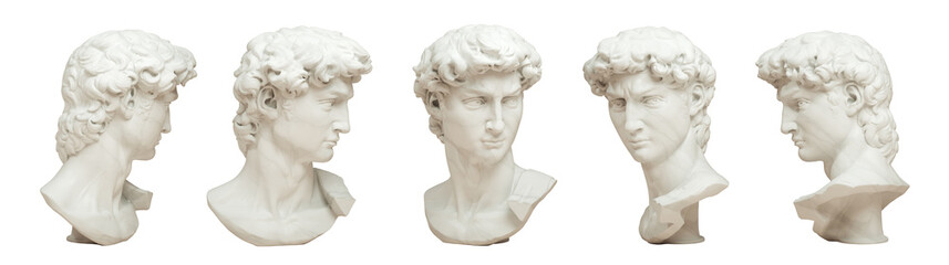 3d rendering illustration of head of michelangelo's david in 5 views isolated on white background.