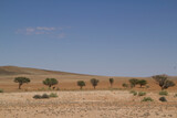Fototapeta Sawanna - Landschaft in Namibia im Südwesten