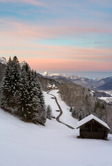 Wall Mural - vertical panorama of romantic wintery landscape in the mountains