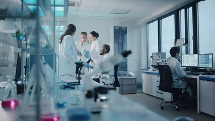Wall Mural - medical science laboratory with diverse multi-ethnic team of microbiology scientists have meeting on