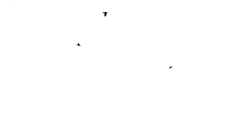 a set of 7 footages. flock of crows isolated on white background. silhouettes of birds in motion far