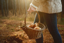 Woman Carrying Basket With Fresh Mushrooms In Forest, Closeup