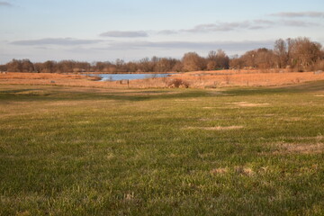 Poster - Field with a Lake