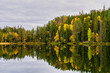 Autumn forest reflected in the lake