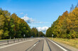 Highway road in Sweden in the autumn forest