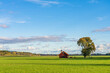 Old Scandinavian barn and lonely tree at the field. Landscape of Sweden 