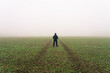 Man on the path disappearing in fog 