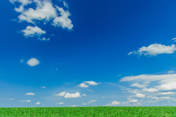 Wall Mural - idyllic field summer background landscape green agriculture grass and vivid blue sky white clouds picturesque wallpaper poster nature scenic view with empty copy space for your text here