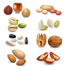 Canvas Print - Realistic Detailed 3d Different Nuts Set. Vector