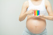 A pregnant woman holds the flag of the LGBTPregnant woman showing rainbow colored plasticine Which is a symbol of sexual diversity Learn to abbreviate LGBTQ.