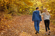 © alfa27 - rear view on couple enjoying jogging on a country road through the beautiful autumn forest, exercise and fitness concept