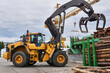 © Evgeny - grapple loader unloads logs onto a feed conveyor in the yard of a woodworking plant