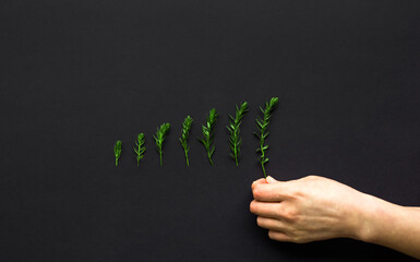 Wall Mural - Hand of the business woman putting growing plants. Concept of business growth, profit, development and success.