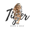 tiger slogan with tiger crawling graphic illustration